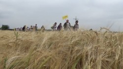 jak spragniona ziemia rosy grupa