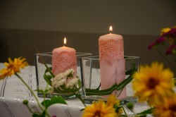 514401624 748686884171447 n